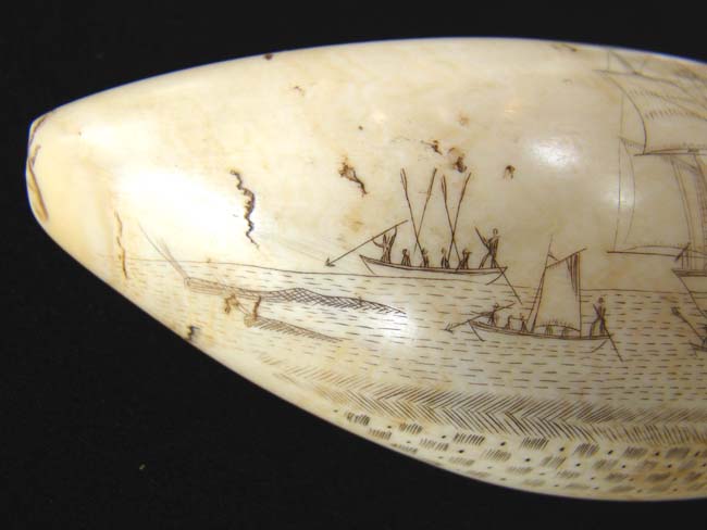A large scrimshawed Sperm Whale's Tooth depicting a Whaling hunt off the 'Feegee' Islands. — image 8